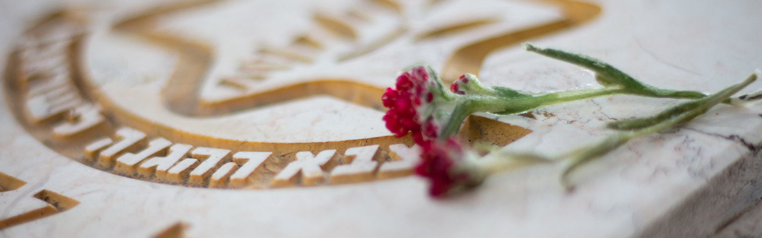 Dam-Hamacabim-Slider-images